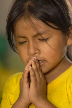 bolivianas