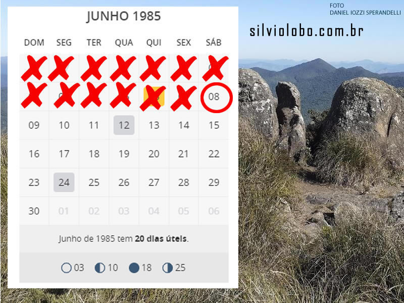 08061985dia