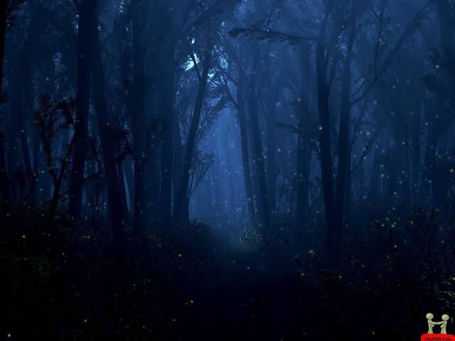 images 15